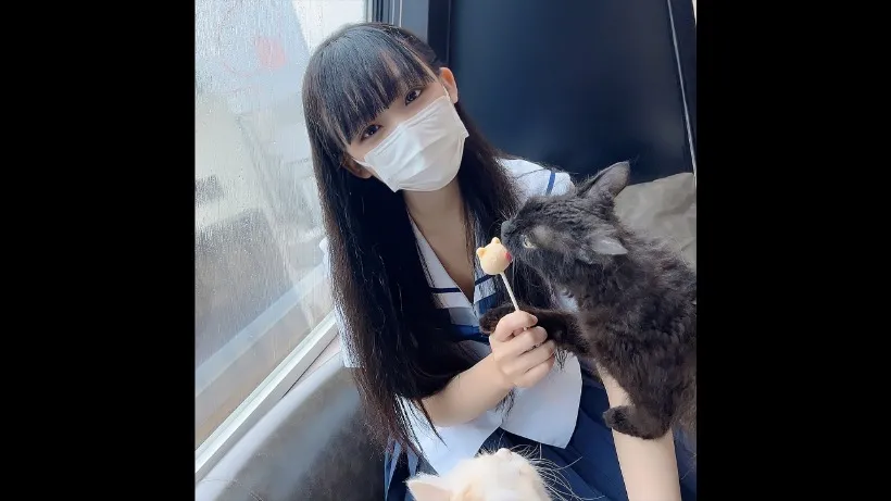 FC2PPV幼気従順秘蔵無修正 高清未删减完整版 在线播放 极品萝莉反差绝顶